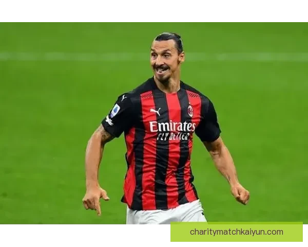 欧洲杯冠军奖金分析与预期：各队收益和未来影响深入探讨